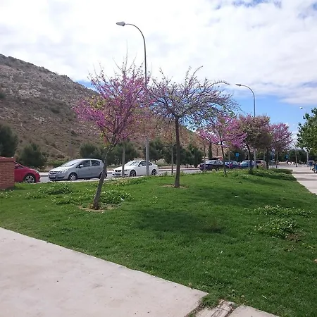 Mar Y Castillo By Gloove Alicante Exterior photo